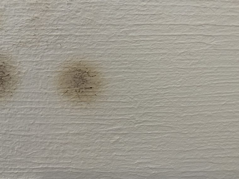 しっくいの壁を燃やす