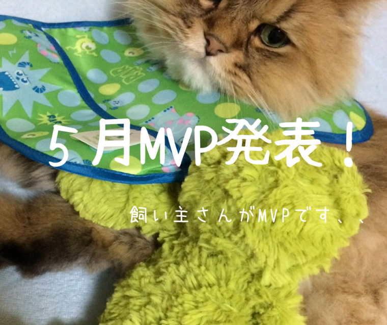 ５月度社内MVP&見学会情報！