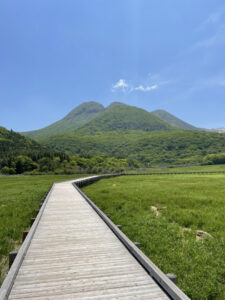 こちらが木道から見える景色です。ぜひ行ってみてください。